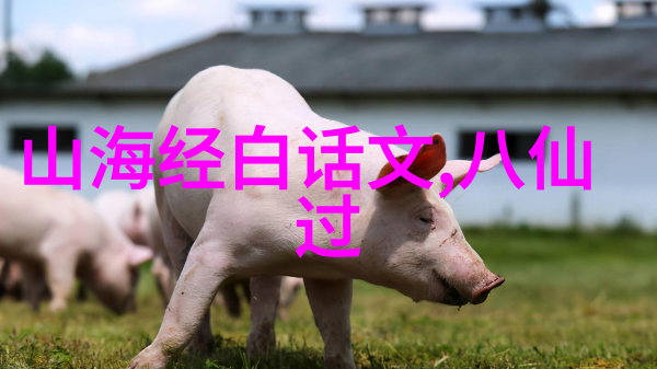 国宝小探险寻找失落的龙宫秘密