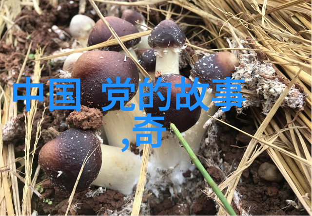 乾隆帝子孙早夭之谜健康与命运的复杂编织
