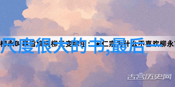 外界的哔哩哔哩一场街头的直播冒险