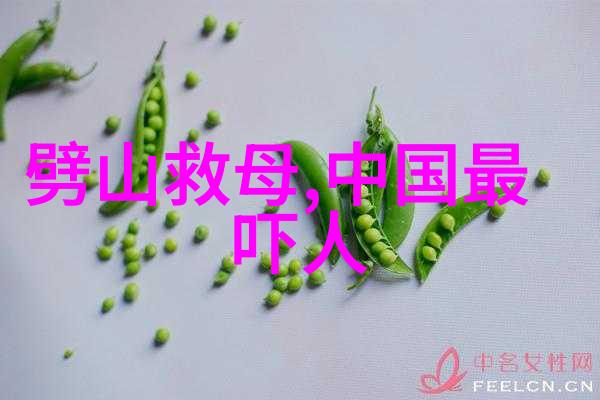 袁姓彭象世界中的渺小花朵虽不及其他大族繁盛但独具韵味