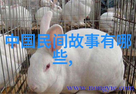 明朝与宋朝的军制是否相同