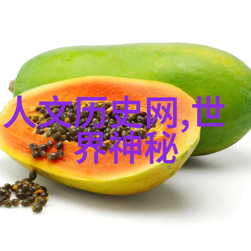 明朝皇帝序列权力与时尚的交响曲