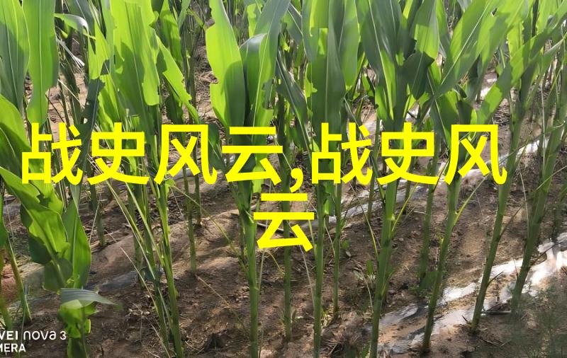 关于中国古代的历史故事大全亲历者们的传奇往事