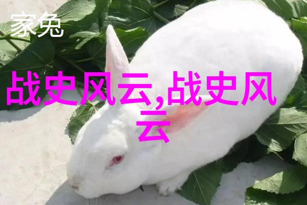 今日焦点国内外热点回顾