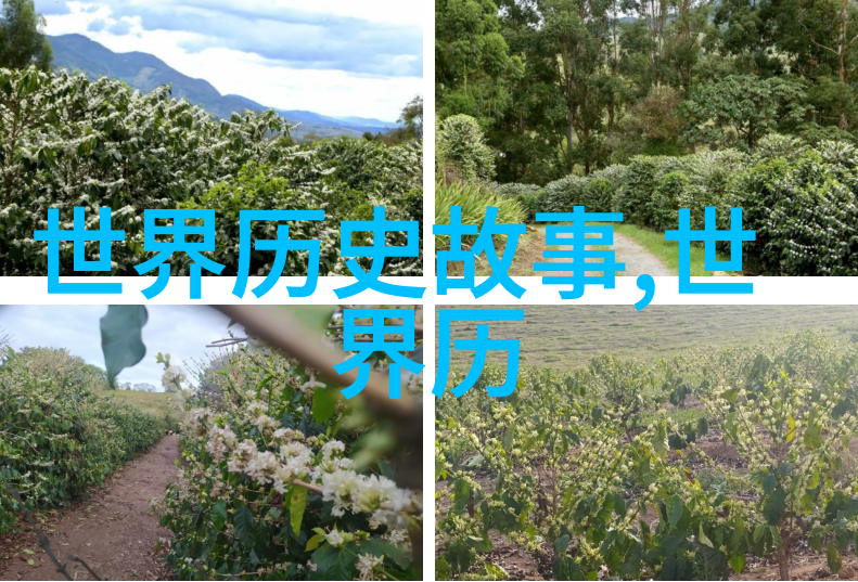 不同古代诗人中的孛儿只斤middot旭烈兀仿佛是时间的行者在1217年踏上历史的长途旅行直至1265