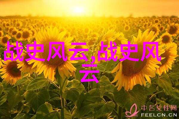 如何将历史知识融入到二十四朝代顺口溜中