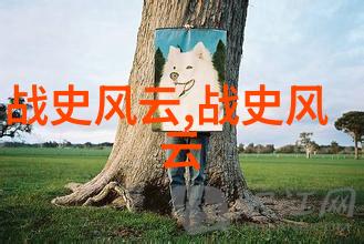 长城的守望中国历史上的边疆之谜