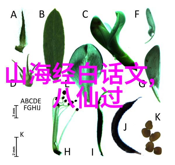 50个历史故事简短我来给你讲一讲那些让人印象深刻的往事