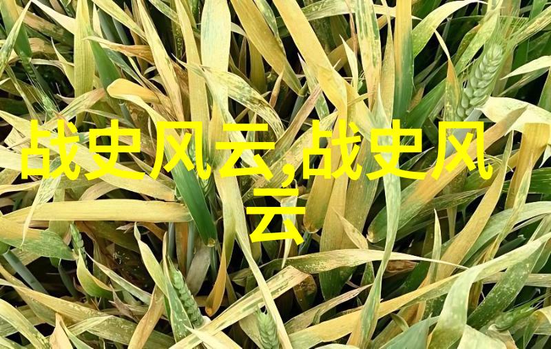 隋朝文化遗韵16件物品揭示历史底蕴(图)