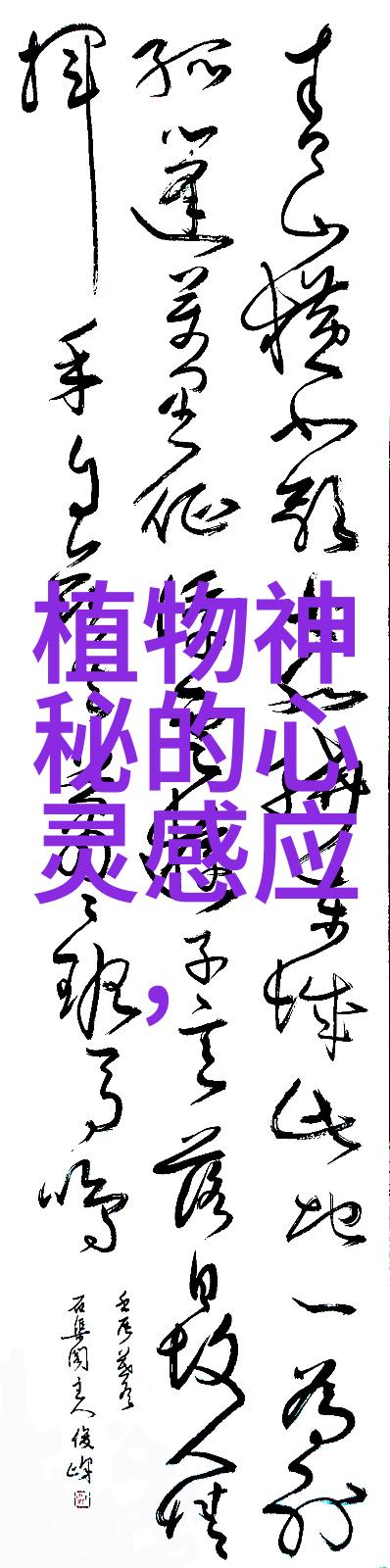 写历史人物的故事四年级-探索古人的足迹四年级的小小历史家