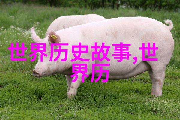 王善朴唱段璀璨林婷婷越剧艺术大师绽放