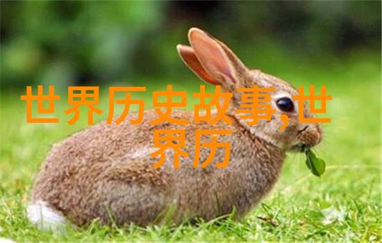 探索生活的无限可能40种精彩瞬间
