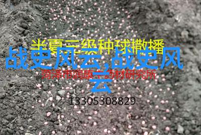 书法之美名人名言共鸣白煦的艺术世界
