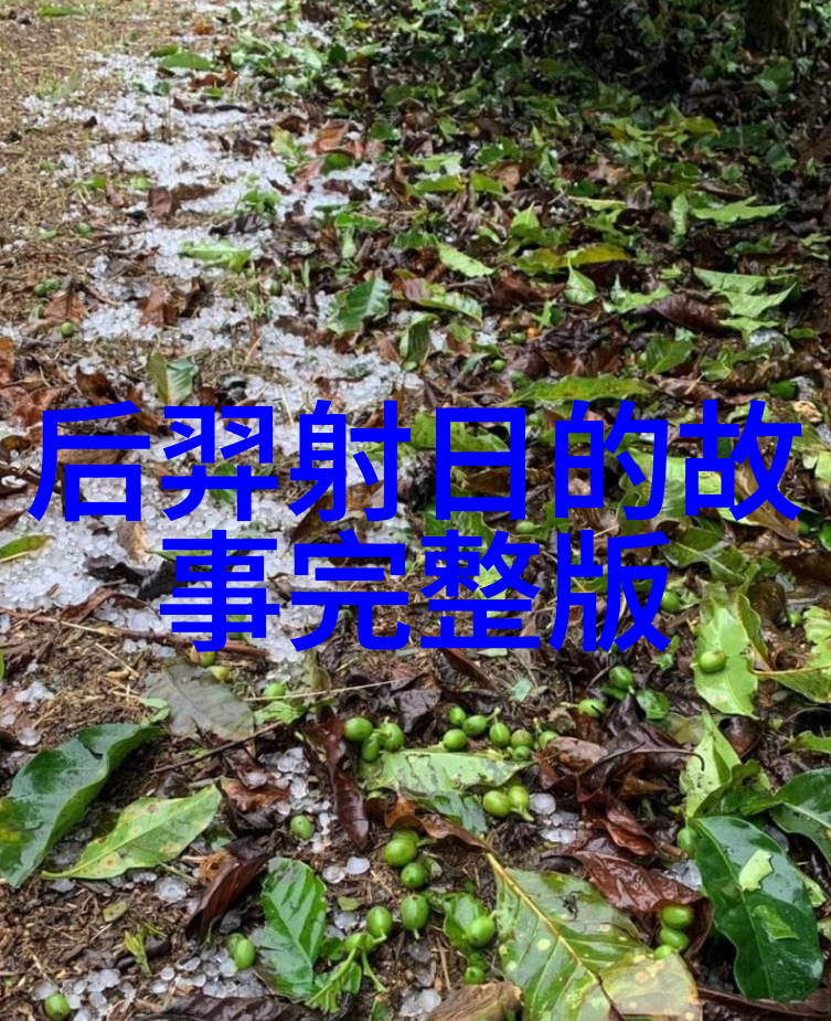 李渊唐朝开国皇帝的真实面目如何在唐朝诡事录中被刻画是不是真的平庸无能