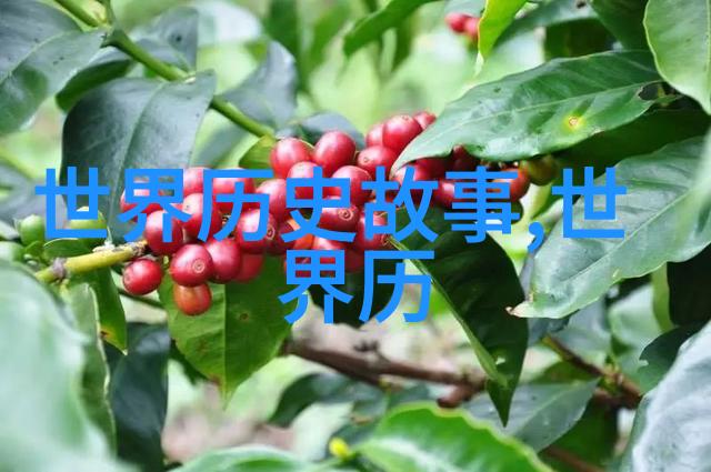 墨西哥毒贩电锯犯罪现场的血腥真相