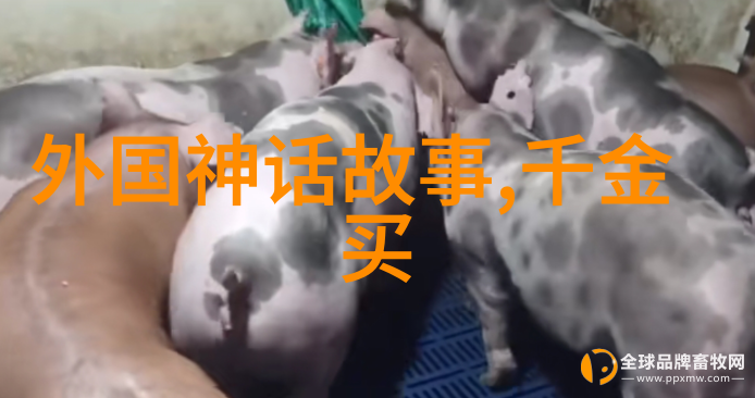 人類命運共同體中的文化遺產全球重要歷史網站介紹