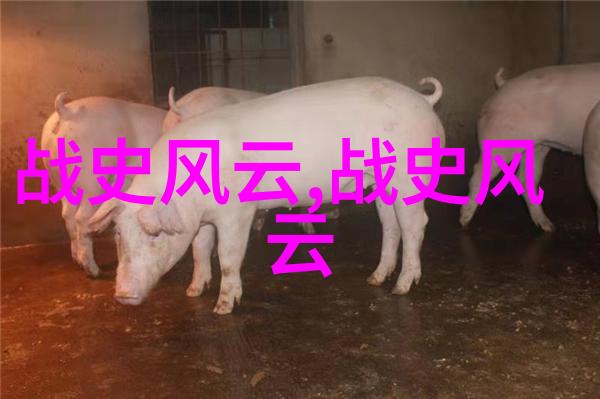 香港青松观侯宝桓道长王建国学历在社会中的影响