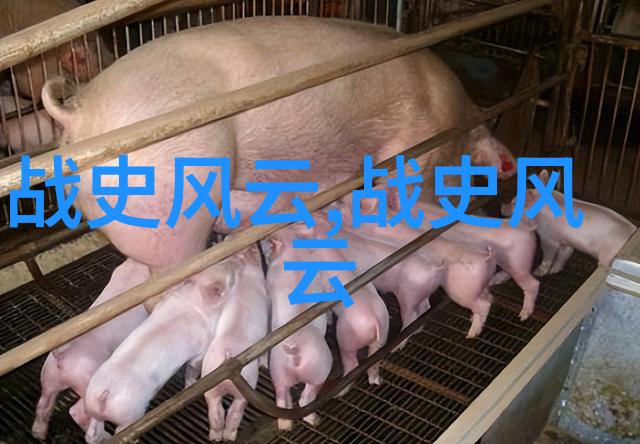 古秘奇闻村落里的幽灵织女