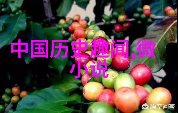 明朝那些事儿后记中的历史沉思与时代启示