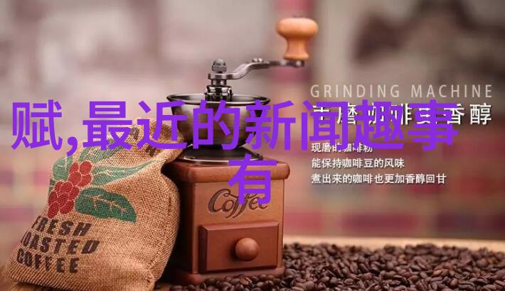 战火中的英勇一位德军将领的改变之心
