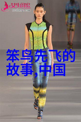 明朝的神秘面纱龙影与狐狸之舞