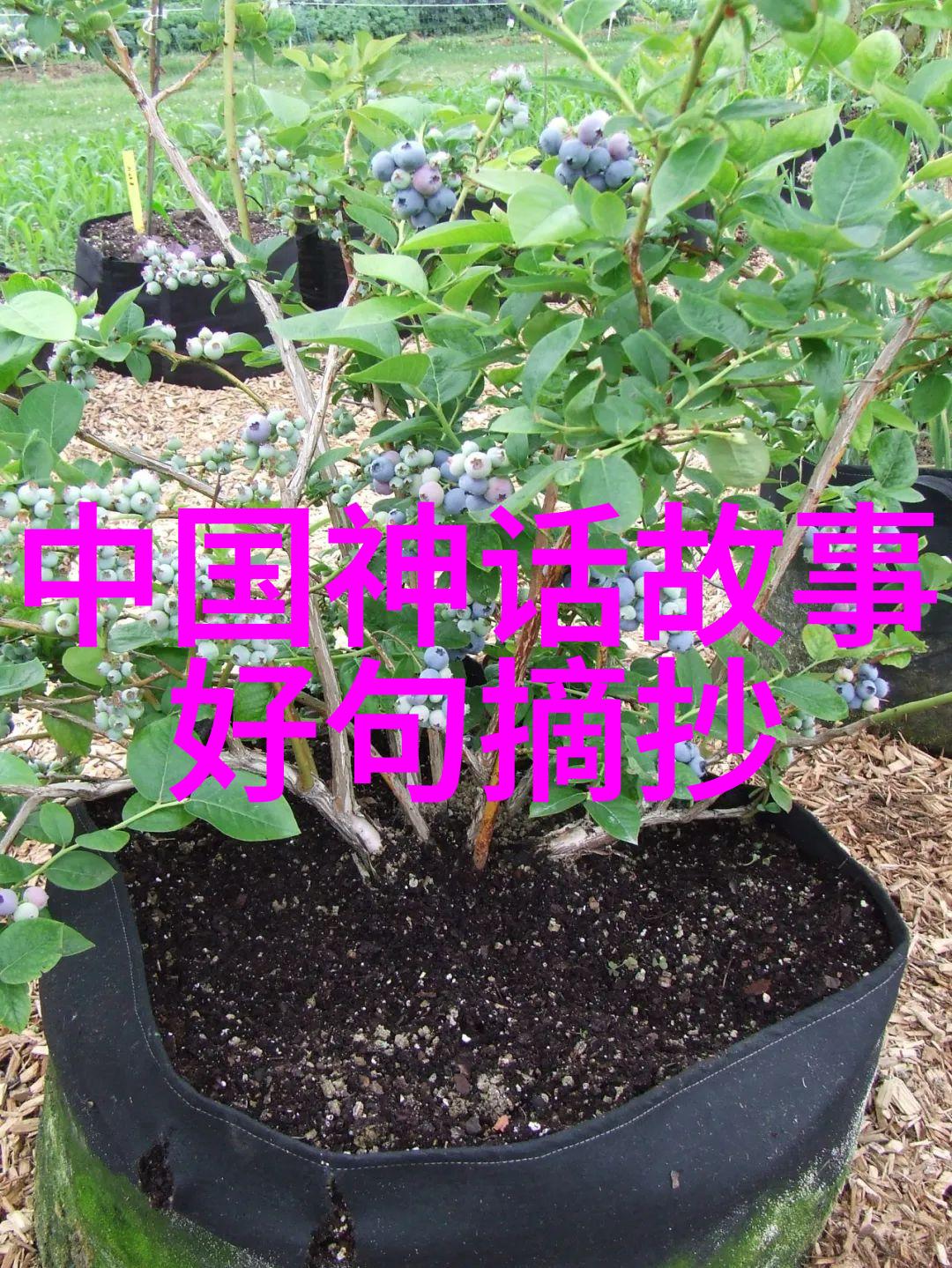 巨型UFO现象学研究探索不明飞行物体的超出尺度特征与社会心理影响