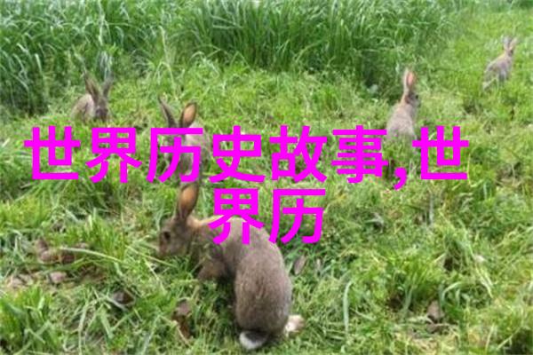 中国名人录哈里马奎尔下揭秘传奇艺术家后半生的奇遇与成就