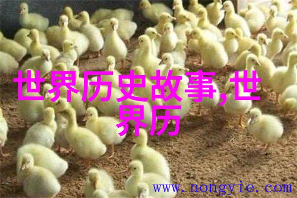 夜幕下的奇幻旅程星光下的梦境之城