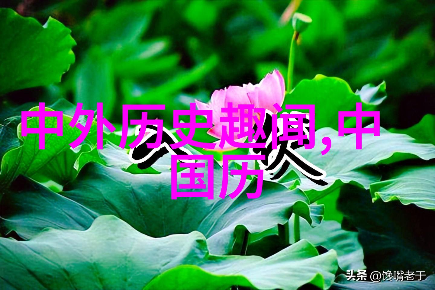 红楼梦中的泼天富贵与凄凉离散