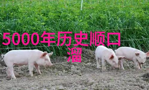 隋唐两代在经济文化等方面有什么显著成就吗