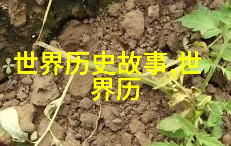 故宫深夜奇遇皇帝与太监的秘密交谈
