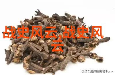 主题-穿越动漫女孩的禁区揭秘其深藏的情感与意志