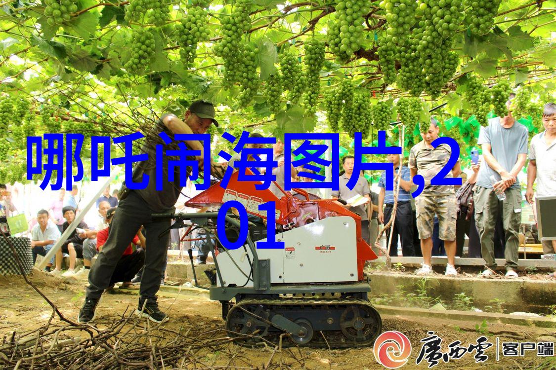 启蒙知识的历史篇章三年级学生的文化征程