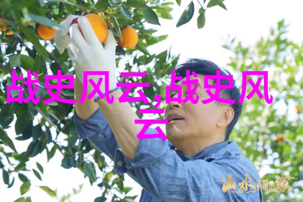 银河的守望者跨文化探索关于月亮的神话故事