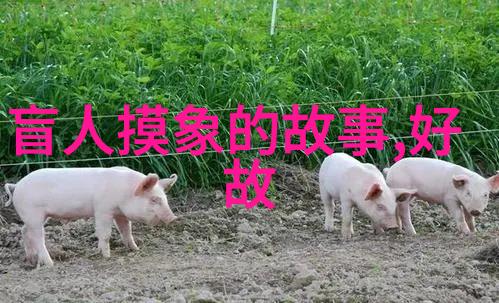 深山幽谷中的古老传说民间山野怪谈的秘密