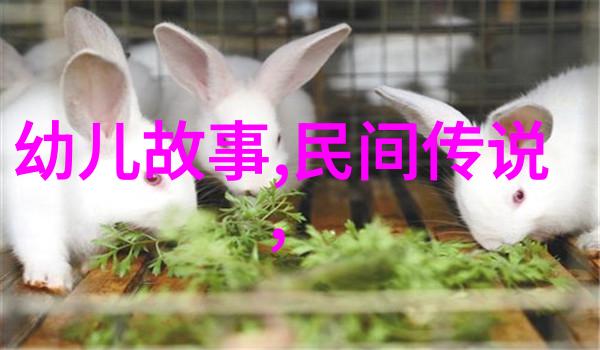 民间传说中的算卦故事一文钱的价值