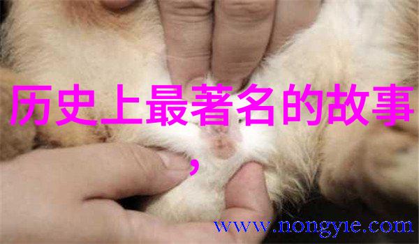 选择个历史人物讲他的故事-古往今来曹操的权谋与梦想