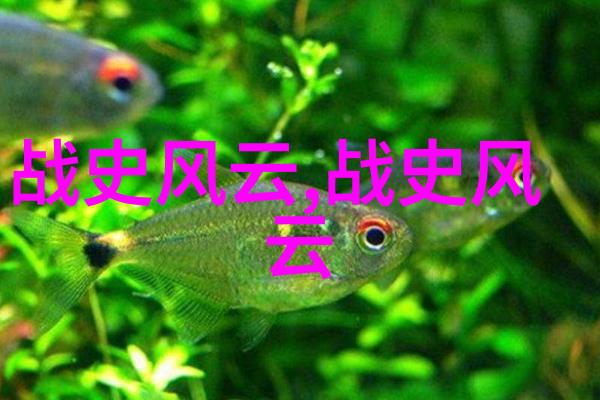 明朝大宦官与无昏君的衰亡考古探究