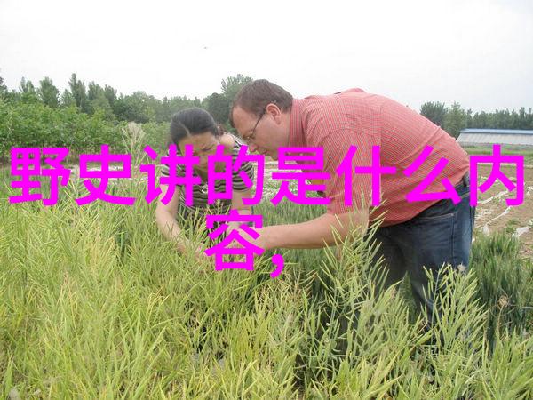 李白与杜甫唐代诗人的盛世与衰败又该如何解读