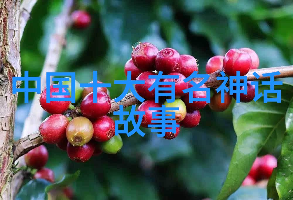 选择个历史人物讲他的故事-穿越时光苏格拉底的哲学探索