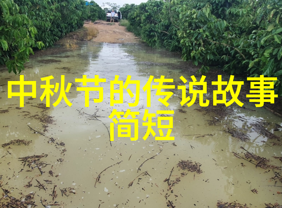 中华上下五千年故事大全集书籍中的哲学智慧与人生启示