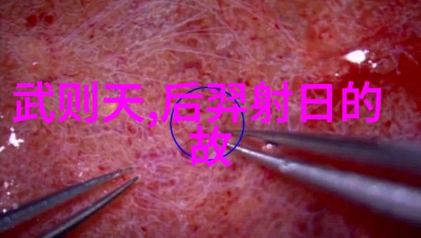 明朝末年农民起义的故事