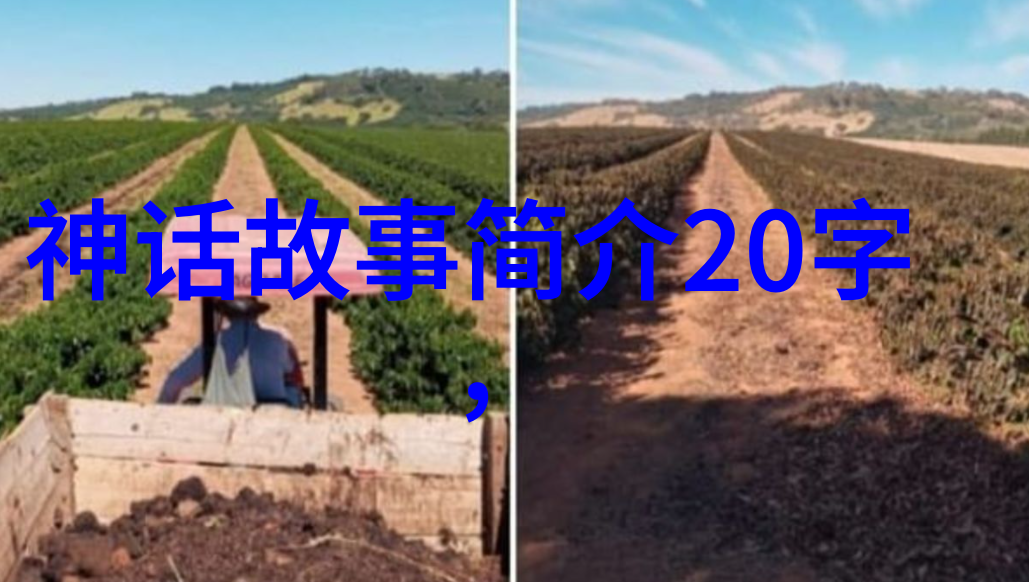 公孙衍的智谋与魅力探索战国时期杰出的谋士形象
