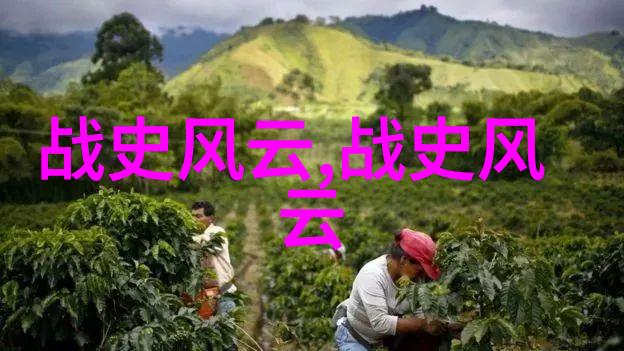 笑谈奇闻录三则趣事让你捧腹不已