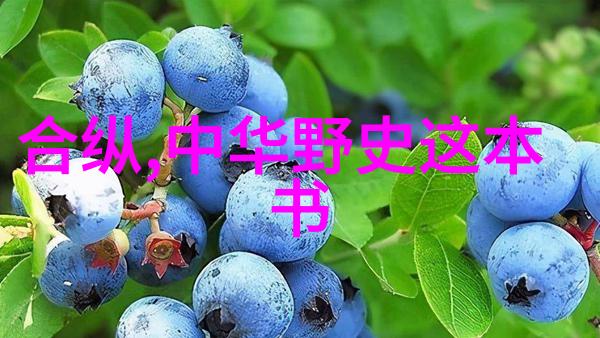 老师的水库解密JLZZJLZZJLZ先生的湿地秘境