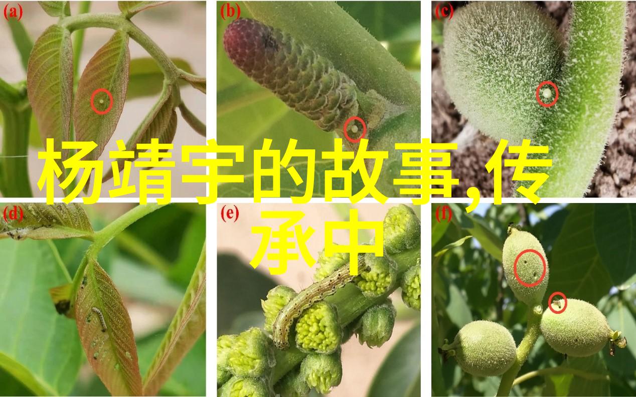 古韵童谣寻找迷失的月亮