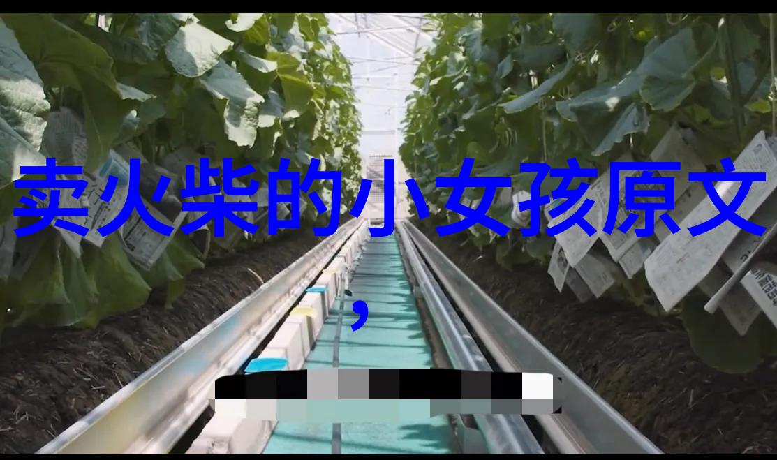 2023年奇迹与谜团揭秘那些让人惊叹的奇闻趣事