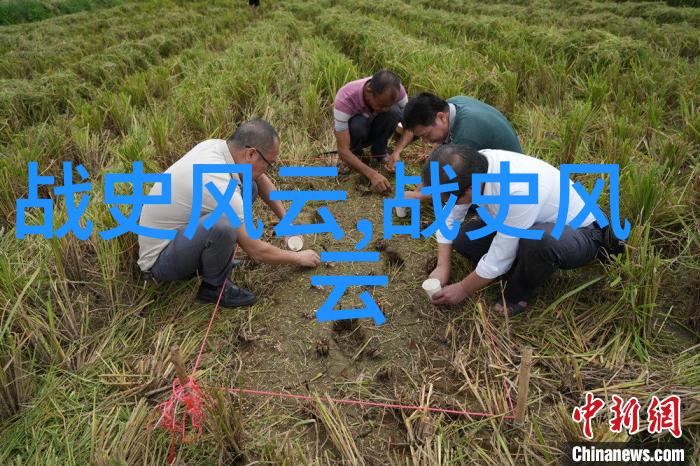 揭秘明朝佥妻制度中国历代王朝一览表中的奇特婚姻安排