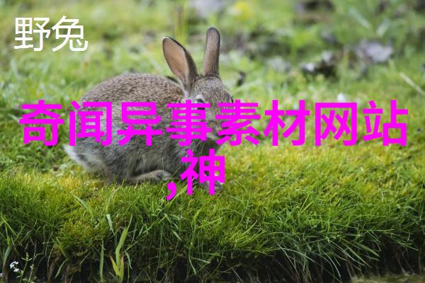 古老传说星辉与月光的舞会