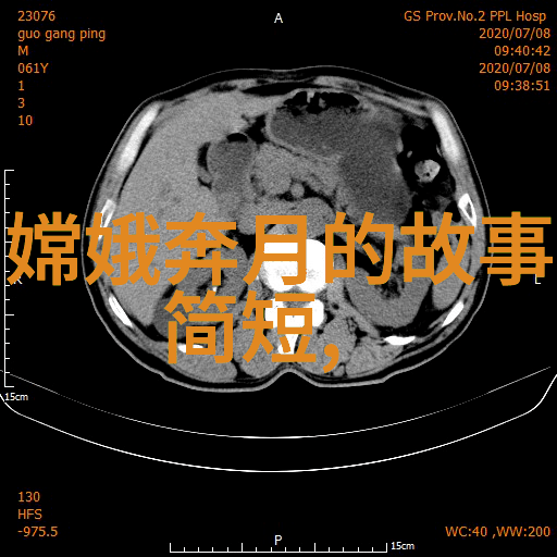 梦境小径星光下的奇遇